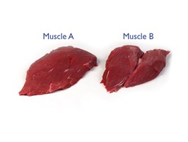 Pavé (thick flank) Meat Cut Spec Step 5